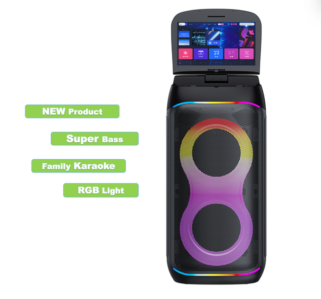 2025 Latest Portable TV Touch Screen 6.5inch Plastic Karaoke Speaker Super Loud Party Outdoor Use Wireless 5.0 Dual RGB AUX USB