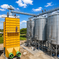 Usine de traitement du riz étuvé entièrement automatisée et clé en main avec échangeur de chaleur et moulin à riz, capacité de 11 à 220 T/J