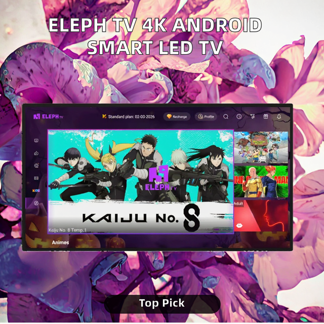 Eleph TV Smart Television IPTV South Africa HD 4K Android LED 19" Black Hotel TV Media Streaming One Year Panel