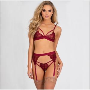 Vrouwen Sexy Lingerieset Met Kousenband Riemen Kanten Beha En Panty Set Exotische Bretels Set - Product Image 2