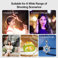 Projecteur LED portable pour photographie, lampe à intensité réglable et à focalisation pour la prise de vue vidéo de produits, la diffusion en direct et l'éclairage de fond en studio