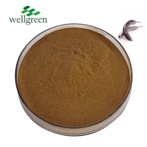 Herbal Plant Factory Honeylocust Gleditsia Sinensis 10:1 Saponaria Extract Powder