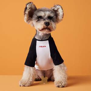 Ropa para Perros y Cachorros, Camiseta <span class=keywords><strong>de</strong></span> Verano <span class=keywords><strong>de</strong></span> Algodón Fino, Manga Raglán Informal, Bordado <span class=keywords><strong>de</strong></span> Letras en Contraste - Product Image 4