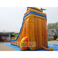 Toboggans aquatiques gonflables commerciaux colorés à thème, toboggan aquatique gonflable extérieur, toboggan gonflable géant en PVC pour aire de jeux aquatique