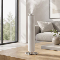 Diffuseur d'arômes à atomisation sous vide de luxe, silencieux, rechargeable par USB, sans eau, avec lumières LED, pour usage domestique
