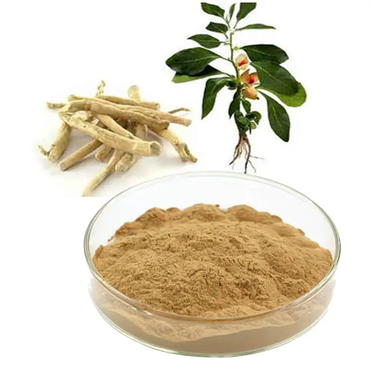 Fornitura naturale estratto di radice di ashwagandha 5% per uso alimentare 10% ashwagandha estratto in polvere