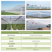 Grande serre agricole automatique hydroponique pour la plantation de fraises, multi-spans, avec couverture en film mince connectée