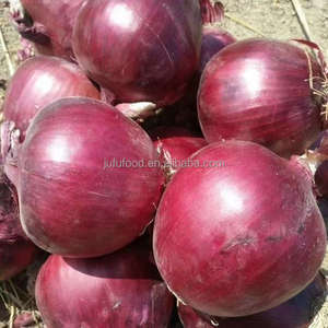 Sacs en maille d'<span class=keywords><strong>oignon</strong></span> <span class=keywords><strong>rouge</strong></span> et jaune pelés biologiques haute performance Bulbes d'oignons germés à motif rond frais - Product Image 6