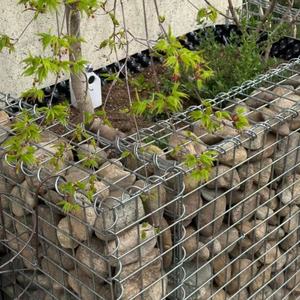 Treillis soudé galvanisé de qualité supérieure pour fondations de clôtures Applications polyvalentes Maintien de la stabilité structurelle pour les portes en treillis - Product Image 6