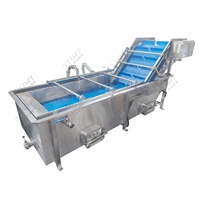 Industriële Bubble Wasmachine 500Kg Per Uur Ozon Sterilisatie Voor Fruit & Groenten Met Transportband