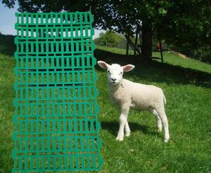 El Suelo <span class=keywords><strong>de</strong></span> Láminas <span class=keywords><strong>de</strong></span> Plástico Es una Opción Ideal para Cabras y Está Hecho <span class=keywords><strong>de</strong></span> Polipropileno (PP). - Product Image 4