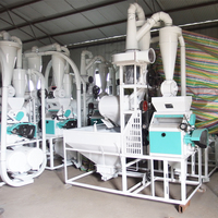 Mini meunier de maïs tamisé de qualité 1 par jour Machine à moudre la farine de blé de 10 tonnes