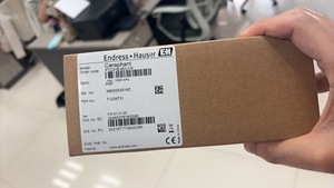 Capteur de jauge absolue Endress Hauser Ceraphant PTC31B Switch E H, Ceraphant PTC31B IP67, précision de 0,3 % - Product Image 5