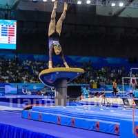Tapis de gymnastique professionnels pour compétition, tapis d'atterrissage pour table de gymnastique, cheval de gymnastique