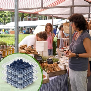 Conteneur jetable en blister pour fruits et légumes, boîte d'emballage en plastique transparente pour myrtilles et fraises - Product Image 5