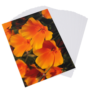 Yesion Groothandel 115G 135G 160G 180G 200G 230G 260G Fotopapier A4 A3 4r 5r Wit Waterdichte Glossy Photo Printing Papier