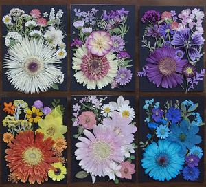 Lot <span class=keywords><strong>de</strong></span> 20 sachets mélange fleurs pressées fond <span class=keywords><strong>noir</strong></span> papier carte cadre <span class=keywords><strong>photo</strong></span> résine époxy <span class=keywords><strong>et</strong></span> fabrication <span class=keywords><strong>de</strong></span> bougies - Product Image 2