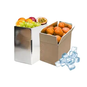 Verduras frutas productos congelados pescado fresco carne hielo frío aislamiento envío paquete de papel cajas con espuma de película de aluminio