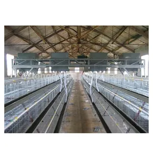 Quail Cage Laying Hen Cage 3 Tiers 4 Doors Galvanized Folding Broiler Chicken Cages