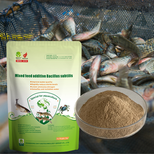 Bacillus Subtilis水産養殖プロバイオティクス1kg | 魚とエビのためのカスタマイズされた飼料添加物 - Product Image 1