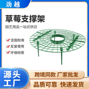 Haihua Round Strawberry Trellis Green Plastic Support Rack For Garden Fruit Planting - Product Image 5