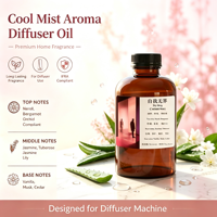 Crearoma 2026 My Way Nouvelle Tendance Huile Essentielle Parfumée de Luxe Premium en Gros Extrait de Parfum Arôme Quotidien pour Diffuseur d'Arômes