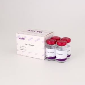 Avibacterium paragallinarum Type A Test d'inhibition de l'hémagglutination (HI) Antigène-Pour le diagnostic infectieux de Coryza de volaille - Product Image 4