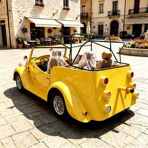 Voiture de tourisme rétro classique certifiée CE ZOWN, couleur personnalisée, navette électrique pour hôtel, 2 passagers, 4 roues - Product Image 1