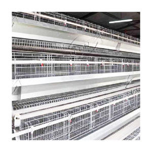 Gallinero con Batería grande <span class=keywords><strong>para</strong></span> 20 <span class=keywords><strong>gallinas</strong></span>, <span class=keywords><strong>precio</strong></span> de pila - Product Image 5