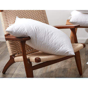 Almohada de plumón de pato blanco, <span class=keywords><strong>cojines</strong></span> de <span class=keywords><strong>plumas</strong></span>, almohada de inserción de esfera personalizada, almohada decorativa - Product Image 6