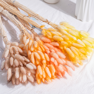 60 tiges de fleurs séchées et préservées du <span class=keywords><strong>Lagurus</strong></span> (Queue de Lapin) - Longue durée, écologiques, pour la Saint-Valentin, la Fête des Mères, Pâques - Product Image 2