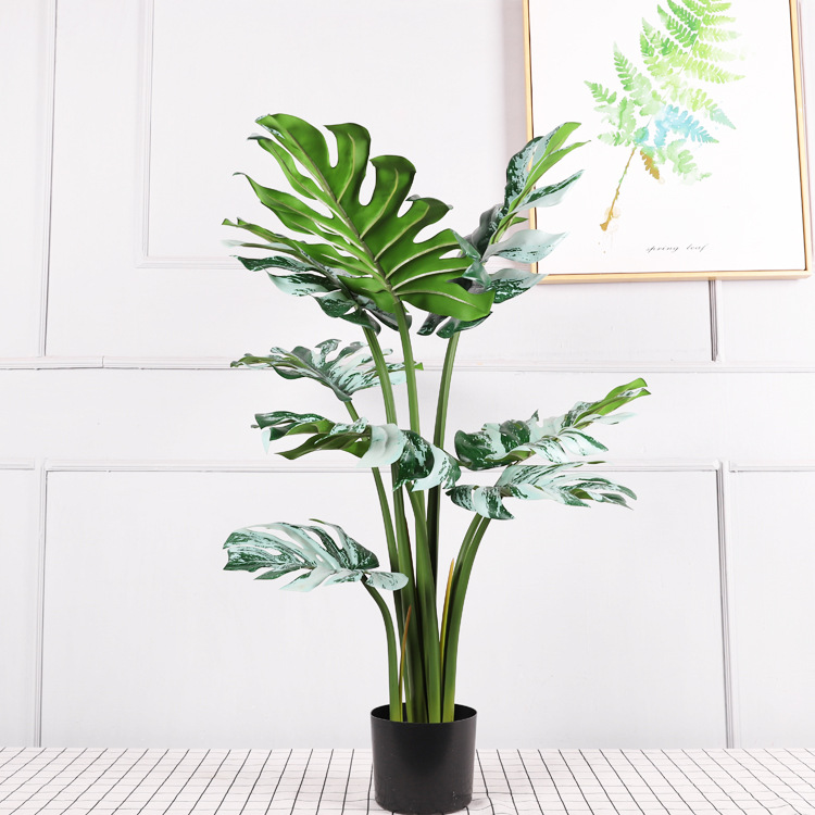 Carapace de tortue verte et blanche 98CM