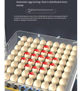 Incubateur d'œufs entièrement automatique à taux d'éclosion élevé (48-288 œufs) avec retournement automatique et remplissage externe pour économie d'énergie - Product Image 2