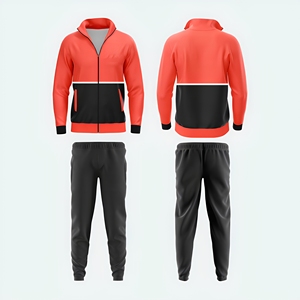 Conjunto deportivo estilo streetwear de fábrica, directo al por mayor, para minoristas de moda estadounidenses, estilo colorblock. - Product Image 1