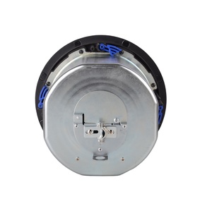 Altavoz <span class=keywords><strong>de</strong></span> <span class=keywords><strong>Techo</strong></span> <span class=keywords><strong>de</strong></span> Alto Rendimiento con Caja Metálica, Modelo 2014, para Sistemas <span class=keywords><strong>de</strong></span> Megafonía, con el Mejor Precio, Calidad <span class=keywords><strong>de</strong></span> Fábrica 2026/2025 - Product Image 5