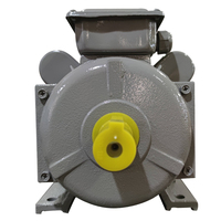 Moteur asynchrone monophasé en fonte de la série YC, 50Hz, étanche, Wedo 110V/220V, garantie 1 an