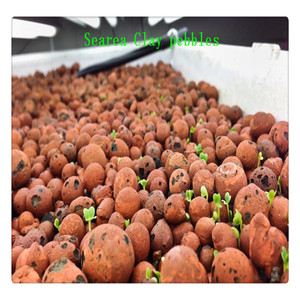 Phương Tiện Nuôi Trồng Thủy Canh Sỏi Đất Sét Mở Rộng - Product Image 3