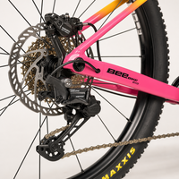 Bicicleta de Montaña de Fibra de Carbono con Transmisión de 12 Velocidades, Frenos Hidráulicos, Pintura Degradada de 29 Pulgadas