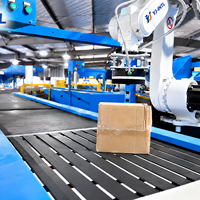 Palettiseur robotisé d'extrémité de ligne avec PLC et moteur pour un tri et un empilage de colis à haute efficacité, vitesse réglable