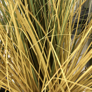 <span class=keywords><strong>LO</strong></span>-300批发工厂价格园林绿化装饰宠物人造洋葱草植物盆栽人造芦苇草潘帕斯盆景 - Product Image 2