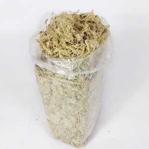Mousse de sphaigne naturelle AAAAAA de haute qualité <span class=keywords><strong>pour</strong></span> <span class=keywords><strong>substrat</strong></span> de Reptile d'orchidées 500g sac longue fibre Absorption d'eau 600-1000% MUSCHIO - Product Image 1