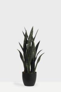Planta <span class=keywords><strong>de</strong></span> serpiente Artificial <span class=keywords><strong>de</strong></span> imitación para decoración interior y exterior, plantas <span class=keywords><strong>de</strong></span> serpiente con tacto Real, para la <span class=keywords><strong>lengua</strong></span> <span class=keywords><strong>de</strong></span> la madre en la ley, suculenta, <span class=keywords><strong>Sansevieria</strong></span> - Product Image 3