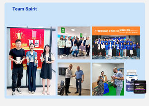 Suplemento OEM para Cadera y Articulaciones para Perros, Glucosamina y Condroitina para Mascotas, Golosinas Masticables Blandas con Etiqueta Privada - Product Image 6