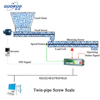 Customizable Stainless Steel 304 OEM Conveyor Scale Mechanical Scale Screw Quantitative Feeder Touchscreen Display 5~120 M/h