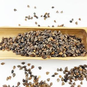 Vente flash : <span class=keywords><strong>Graines</strong></span> de <span class=keywords><strong>sarrasin</strong></span> / Noyaux de <span class=keywords><strong>sarrasin</strong></span> - Product Image 6