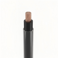 Cable Tongbao 12 AWG THHN para Construcción, Cable de Cobre con Aislamiento de PVC y Cubierta de Nailon THWN-2 600V, Longitud Personalizada para Electrodomésticos