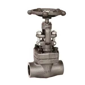 ANSI API 800LB 1-inch A105 High Quality Manual Carbon Steel Welded Gate Valve
