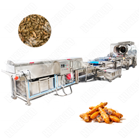 Continue automatische apparatuur voor de verwerking van groenten en fruit voor schillen en wassen in fabrieken