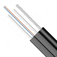 Kabel Drop Optik Udara FTTH 1-8 Inti Kawat Baja Terlapis Galvanis untuk Penyambungan Fiber ke Rumah (Outdoor)