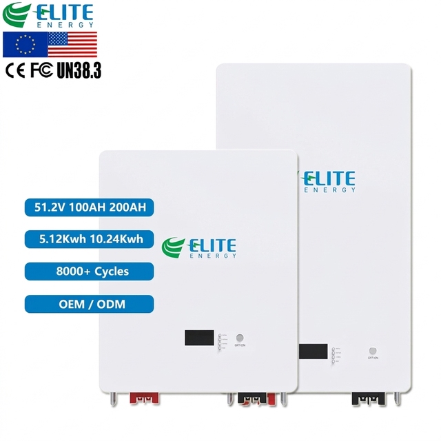 Deep Cycle 8000 Times LiFePO4 51.2V 100Ah 200Ah Lithium Solar Hybrid Grid Wall-Mounted Battery 5kWh 10kWh Power Wall